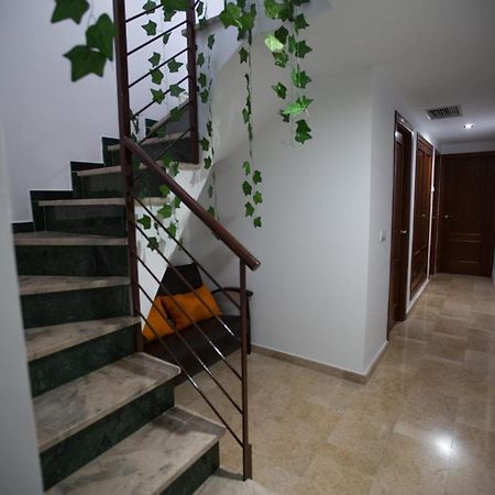 Piso Con Solarium Calahorra Con Solera Parking Privado Gratis Lägenhet Córdoba Exteriör bild
