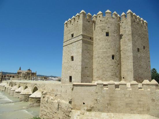 Piso Con Solarium Calahorra Con Solera Parking Privado Gratis Lägenhet Córdoba Exteriör bild