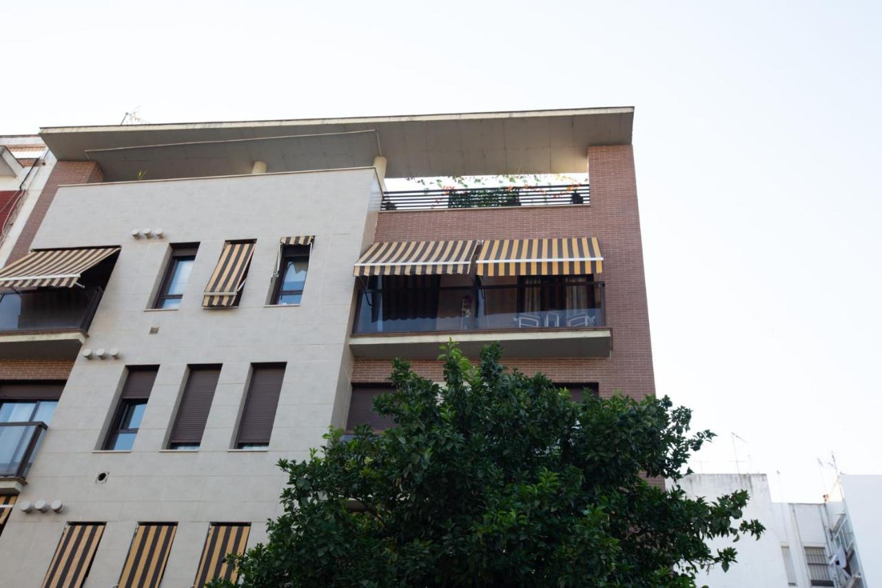 Piso Con Solarium Calahorra Con Solera Parking Privado Gratis Lägenhet Córdoba Exteriör bild